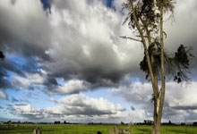 梅西对阵墨西哥的进球有多关键?